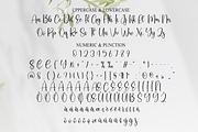 Butter Signatures | Script Font, a Handwritten Font by Scratchones (Thumbnail 7 of 8)
