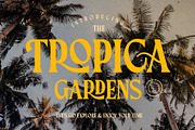 Agerola Vintage Font, a Serif Font by RantautypeStudio (Thumbnail 11 of 15)
