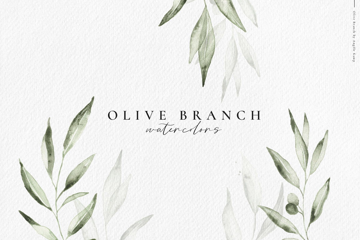 Olive branch watercolor illustration, an Illustration by Angele Kamp (Photo 12 of 13)