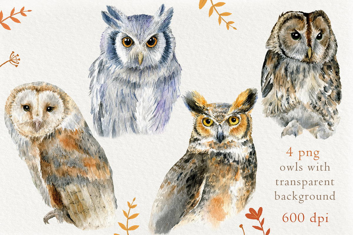 Watercolor Owls set, an Animal Illustration by Nastilustra (Photo 2 of 4)