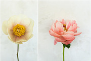 Wedding Mockup Styled Stock Bundle, a Print Template by LaPorte Images (Thumbnail 11 of 12)