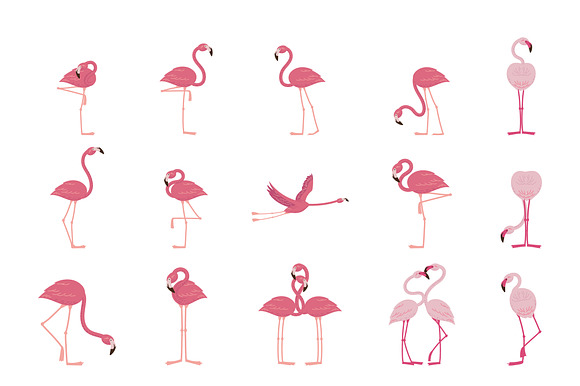 Flamingo Birds Illustrations Set preview 2