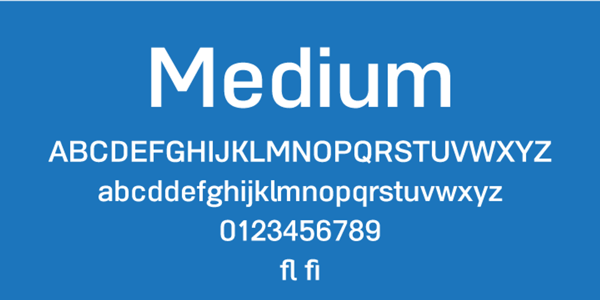 Grammatika, a Sans Serif Font by Aleksandr Sukiasov (Photo 6 of 7)