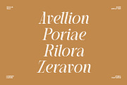 Arseri – Elegant Serif Display Font, a Serif Font by Eotype Studio (Thumbnail 6 of 9)