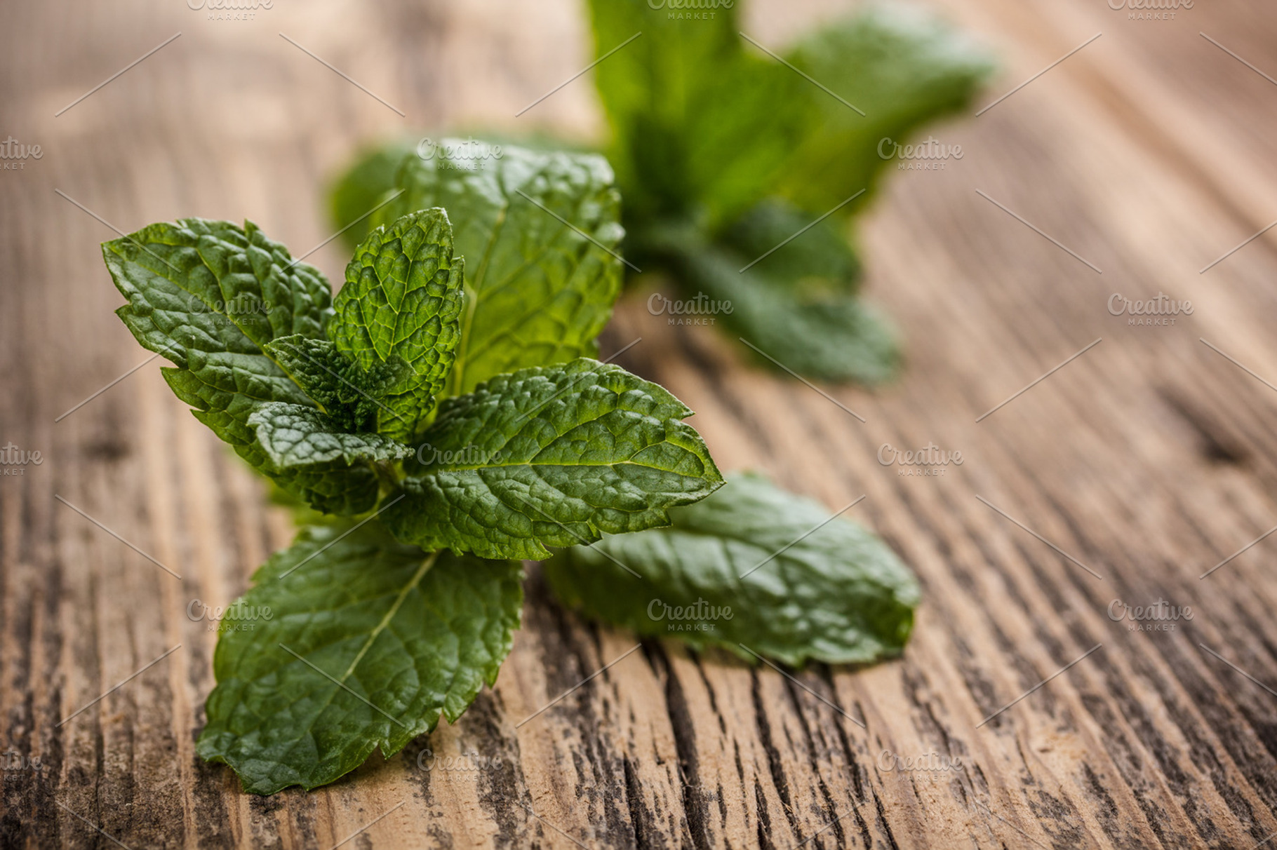 Fresh Mint Stock Photo Containing Leaf And Mint