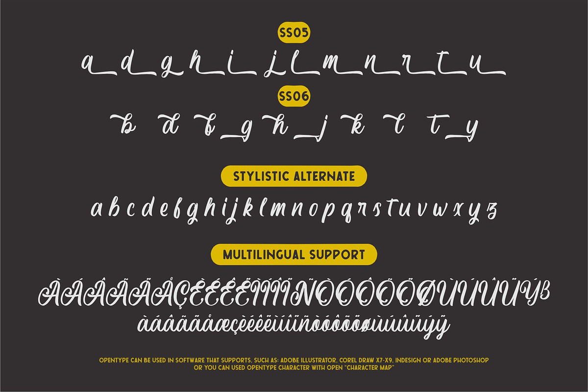 Courtland Handdrawn, a Script Font by Garisman Std (Photo 9 of 11)
