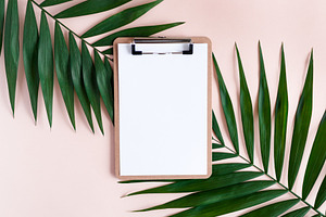 Clipboard and green leaves containing palm, portfolio, and clip board