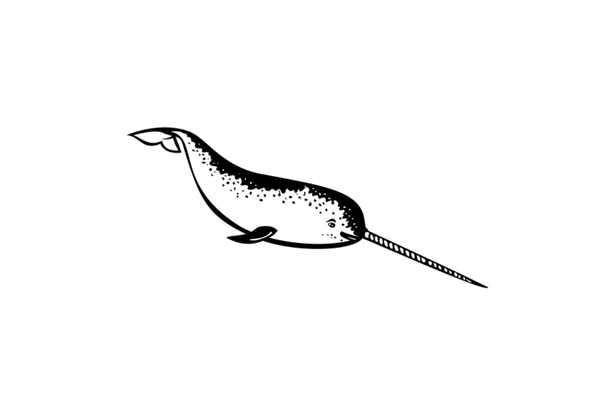 Narwhal Whale Diving Retro Mascot, an Illustration by patrimonio
