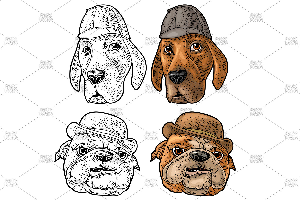 Head dog with human hat, an Animal Illustration by MoreVector (Photo 3 of 4)