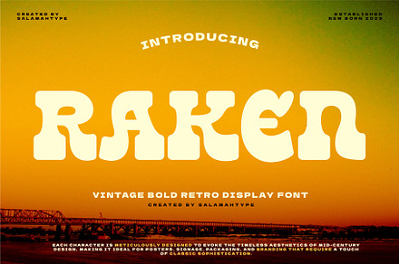 Raken - Vintage Bold Logo Font