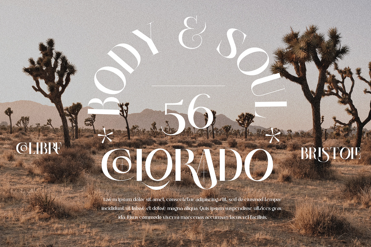 Colibre Bristole Pro, a Serif Font by Jolicia Type (Photo 10 of 13)