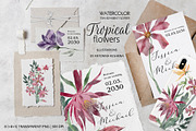 Set of transparent watercolor flower, a Decorative Illustration by RushkinaAntonina (Thumbnail 2 of 5)