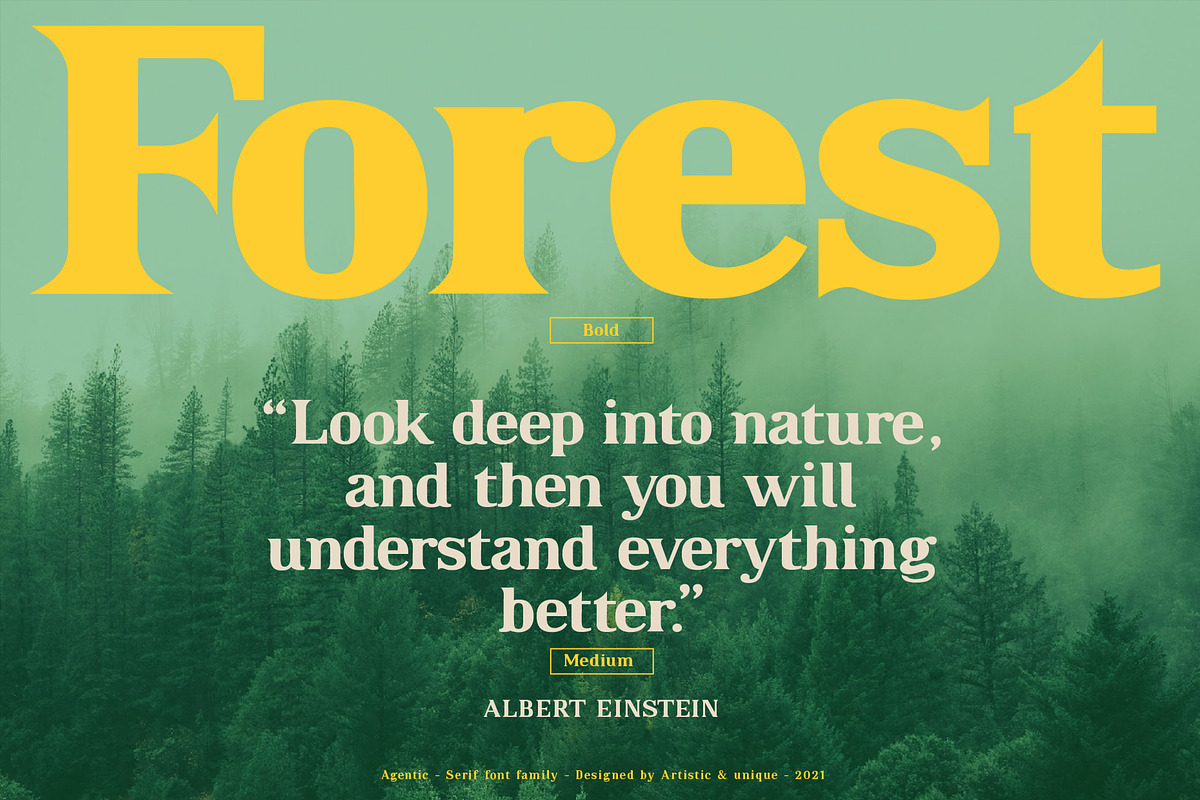 Agentic - Serif font family, a Serif Font by Artistic & Unique (Photo 12 of 13)