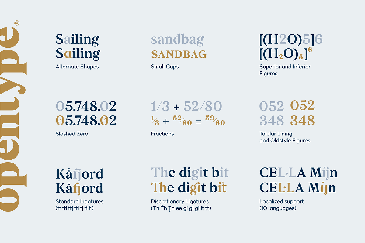 Dialecta Text, a Serif Font by Craceltype (Photo 9 of 9)