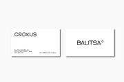 Asparocus Modern Font Duo, a Sans Serif Font by Prestigetype (Thumbnail 8 of 10)