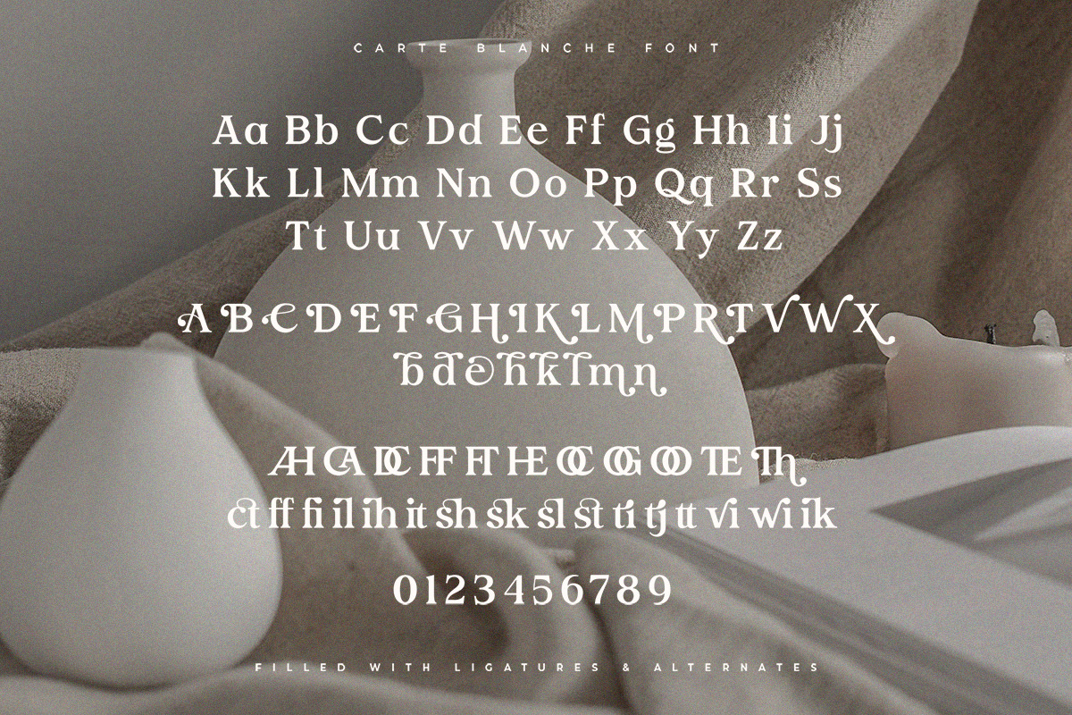 Carte Blanche | Stunning Serif Font, a Serif Font by Pentagonistudio (Photo 10 of 10)