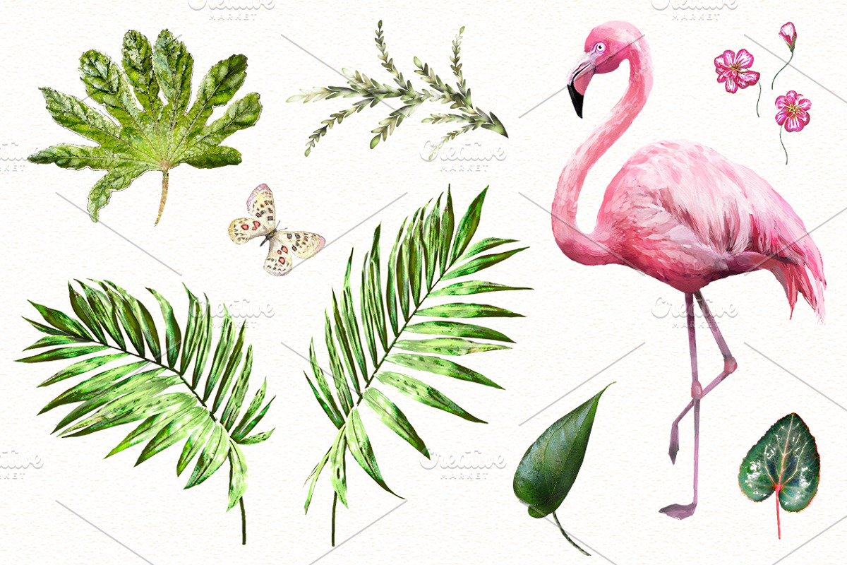Tropical collection. Summer design., a Decorative Illustration by Lisima (Photo 3 of 19)
