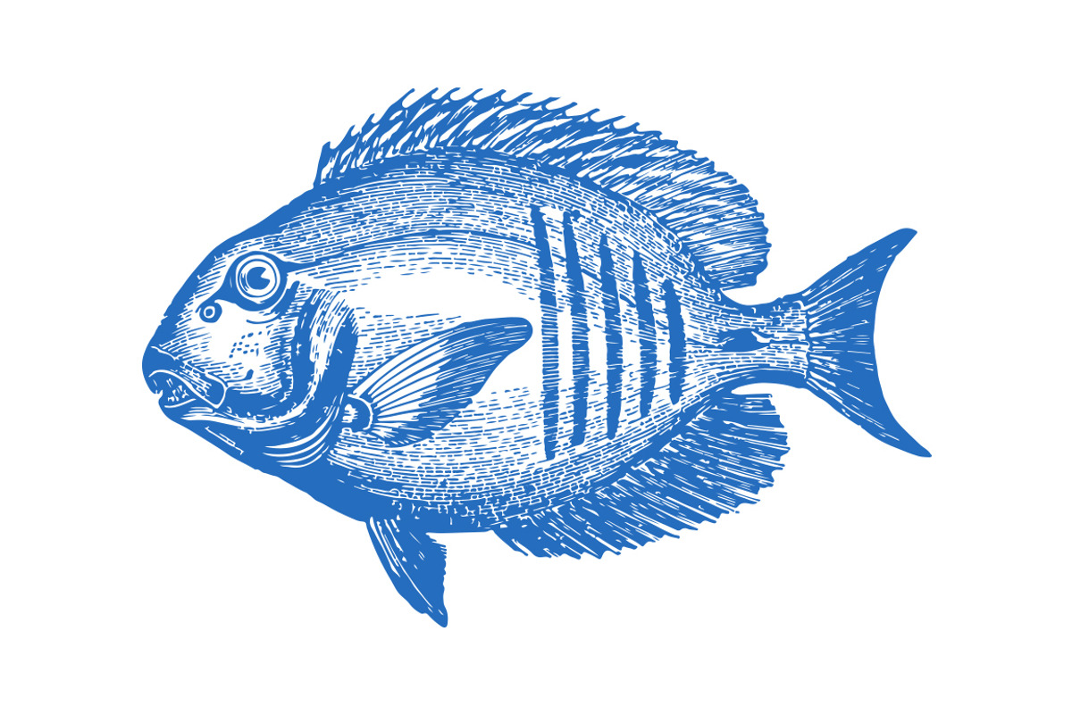 10 Vector Ocean Illustration Pack, an Illustration by Theresa Barba (Photo 8 of 11)