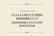 Nathile Ligature Serif Typeface, a Serif Font by Humaira_std (Thumbnail 9 of 10)