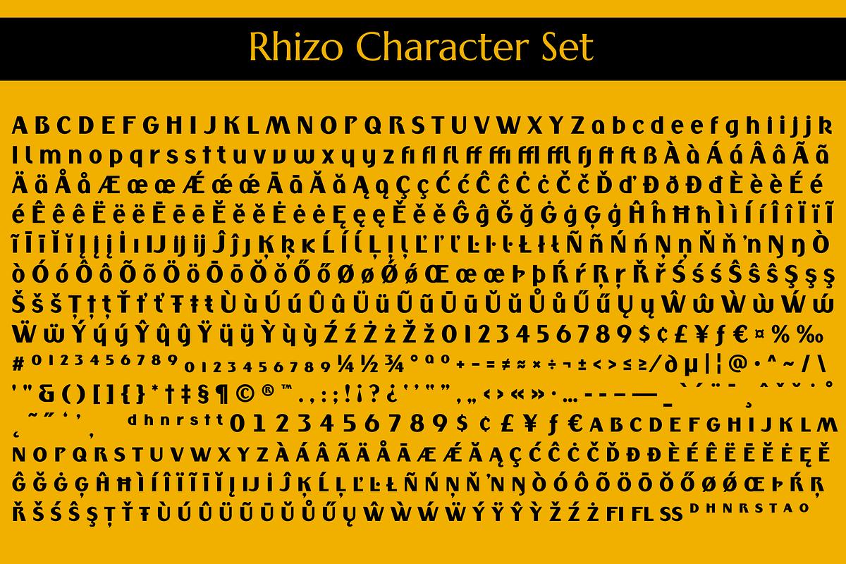 Rhizo, a Sans Serif Font by Stiggy & Sands (Photo 9 of 9)
