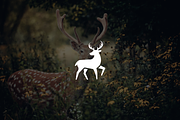 Minimalist Modern Deer Logo, a Branding & Logo Template by Luxury Logos (Thumbnail 2 of 4)