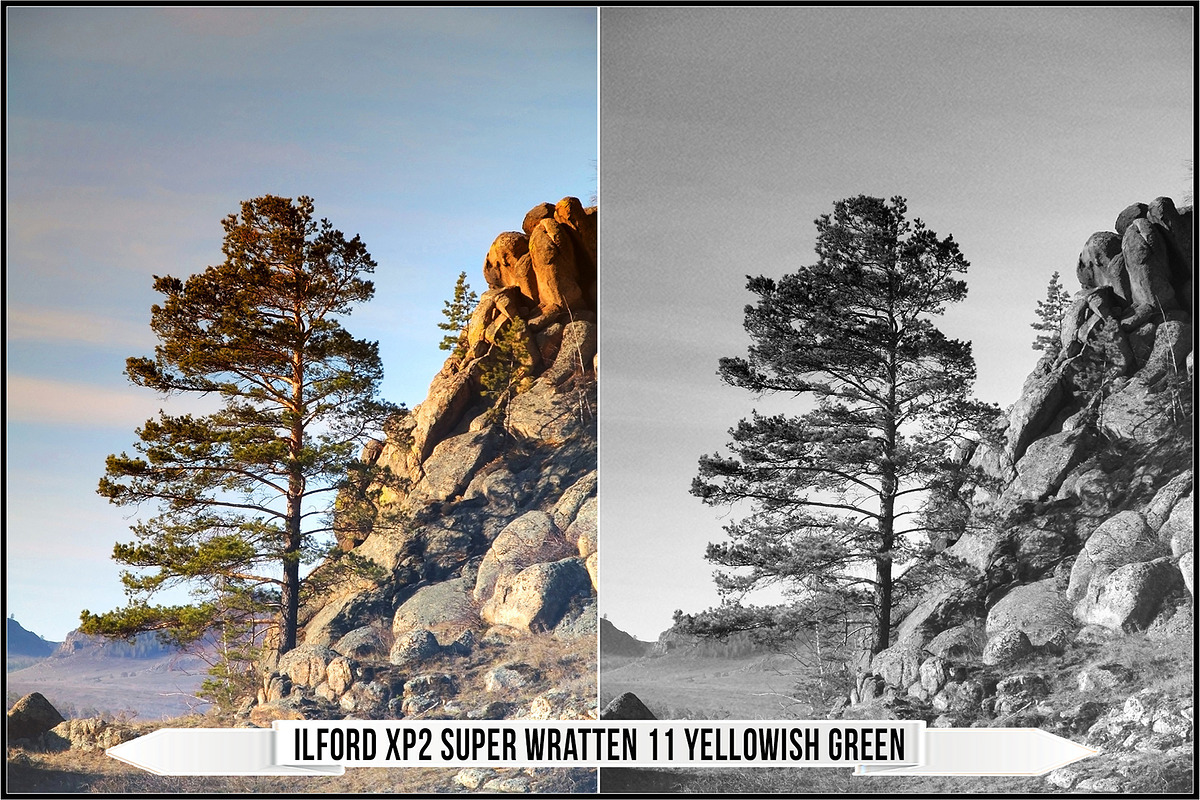 Ilford Films LUTs, a Plug-in Add-On by Raztrend (Photo 19 of 30)