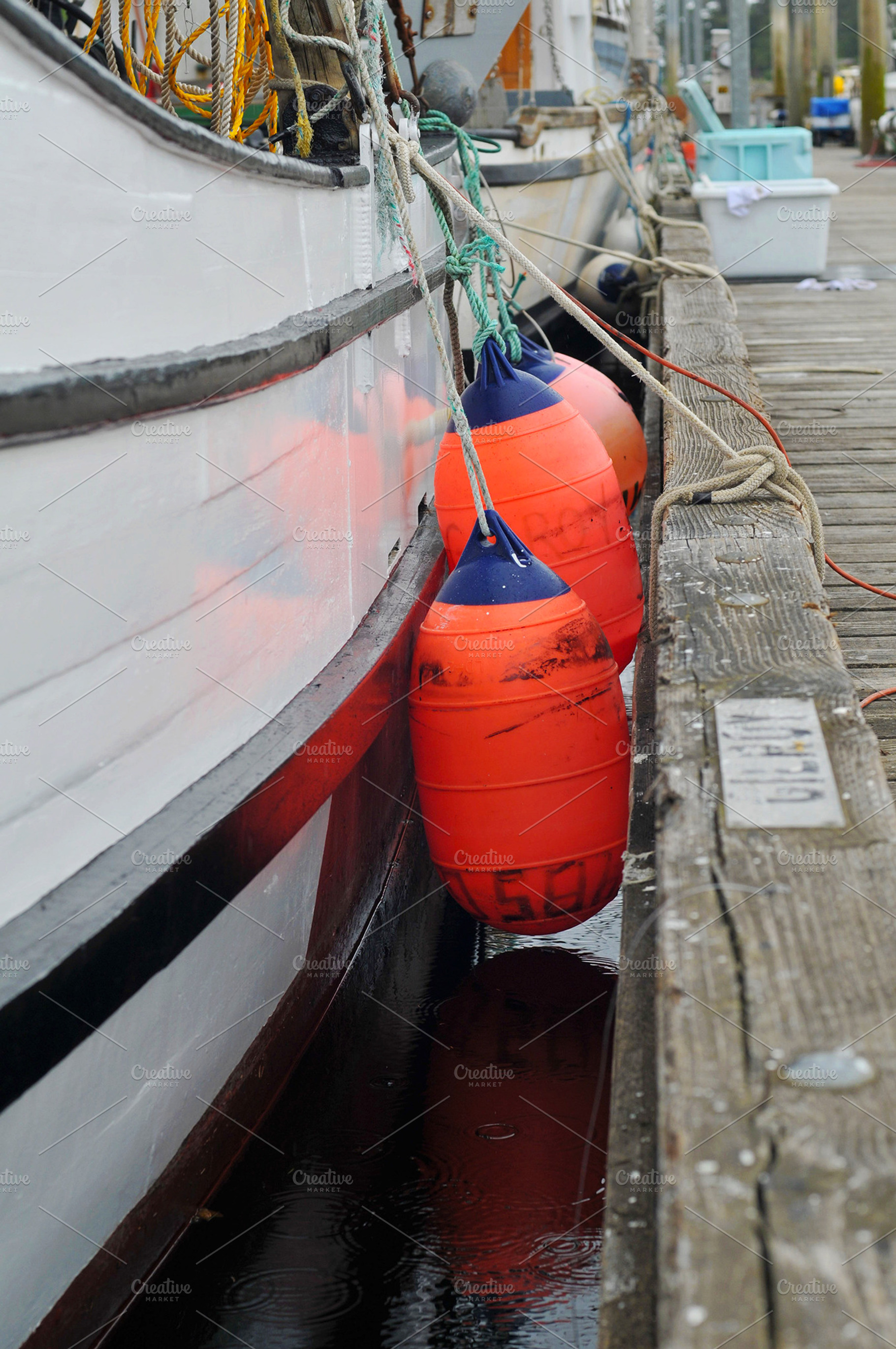 Boat Harbor