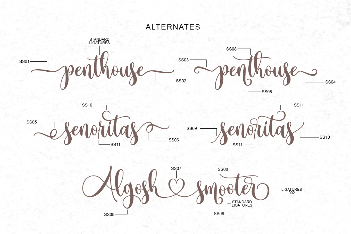 Algosh Smooter, a Script Font by Soft Creative (Photo 4 of 9)