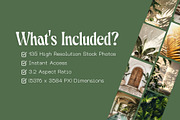 135 Green Leaves Stock Photos, a Nature Photo by Incomelion (Thumbnail 2 of 7)
