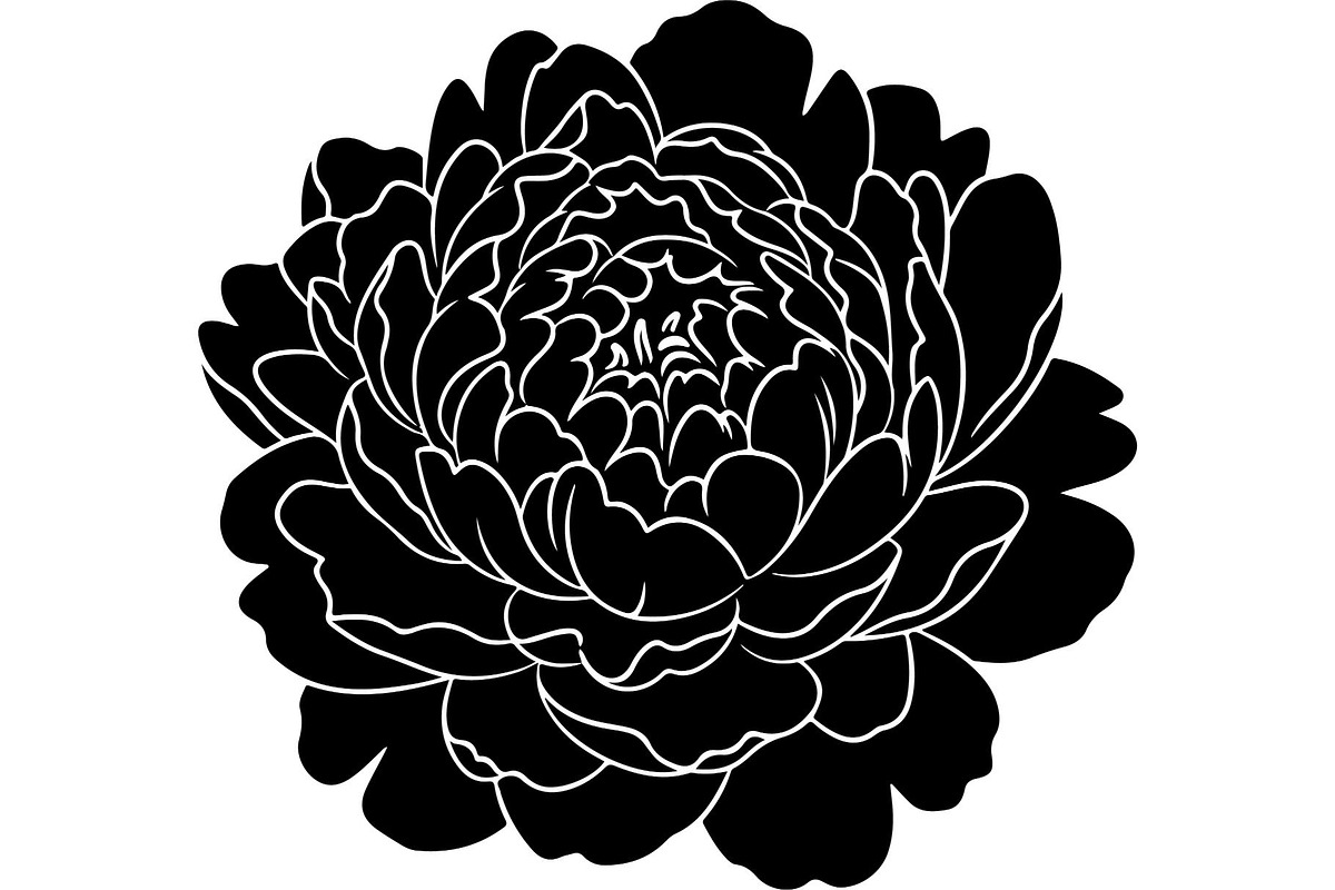 Peony Flower Silhouette, an Object Graphic by Designer_Momina (Photo 15 of 18)