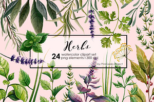 HERBS watercolor clip art set