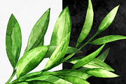 Watercolor Green Leaves, a Healthcare Illustration by Color_Brush (Thumbnail 8 of 8)