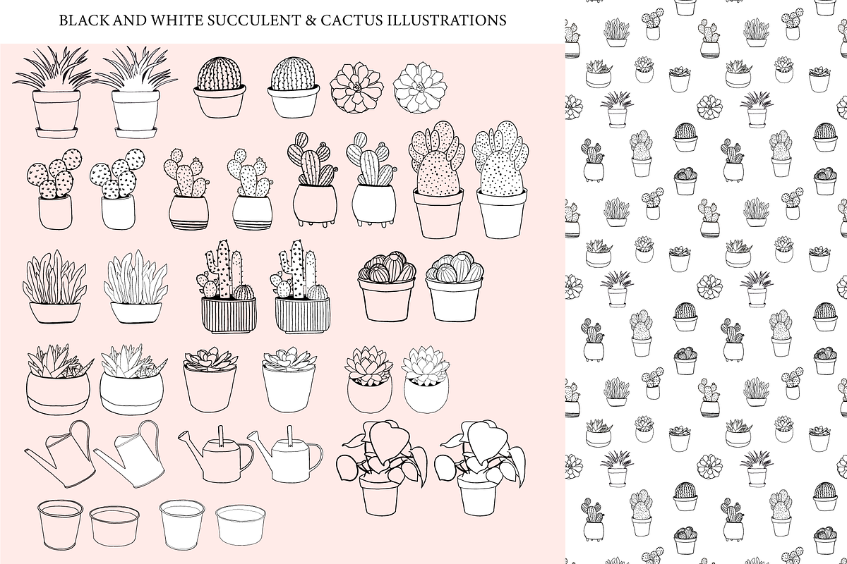 Succulents & cactuses illustrations, a Decorative Illustration by bigmomentsdesign (Photo 4 of 8)