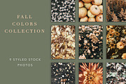Fall Colors Collection, a Nature Photo by Floral Deco (Thumbnail 1 of 5)
