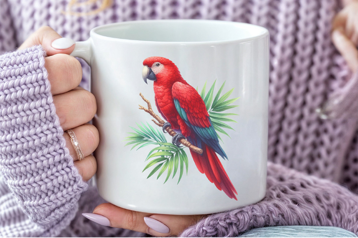 Colorful Parrot Clipart, an Illustration by Pixels.Craft (Photo 6 of 7)