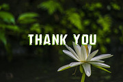 Green Jungle, a Slab Serif Font by Fourteen Letter (Thumbnail 7 of 7)