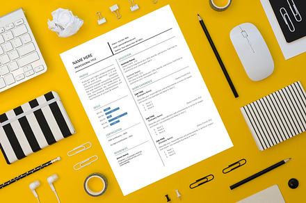 Clean Professional Resume Template
