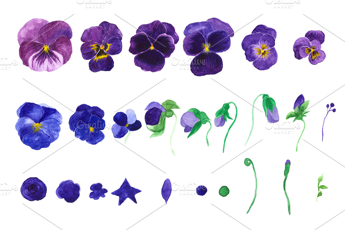 Watercolor purple Pansy flowers., an Illustration by Olgaart (Photo 4 of 7)