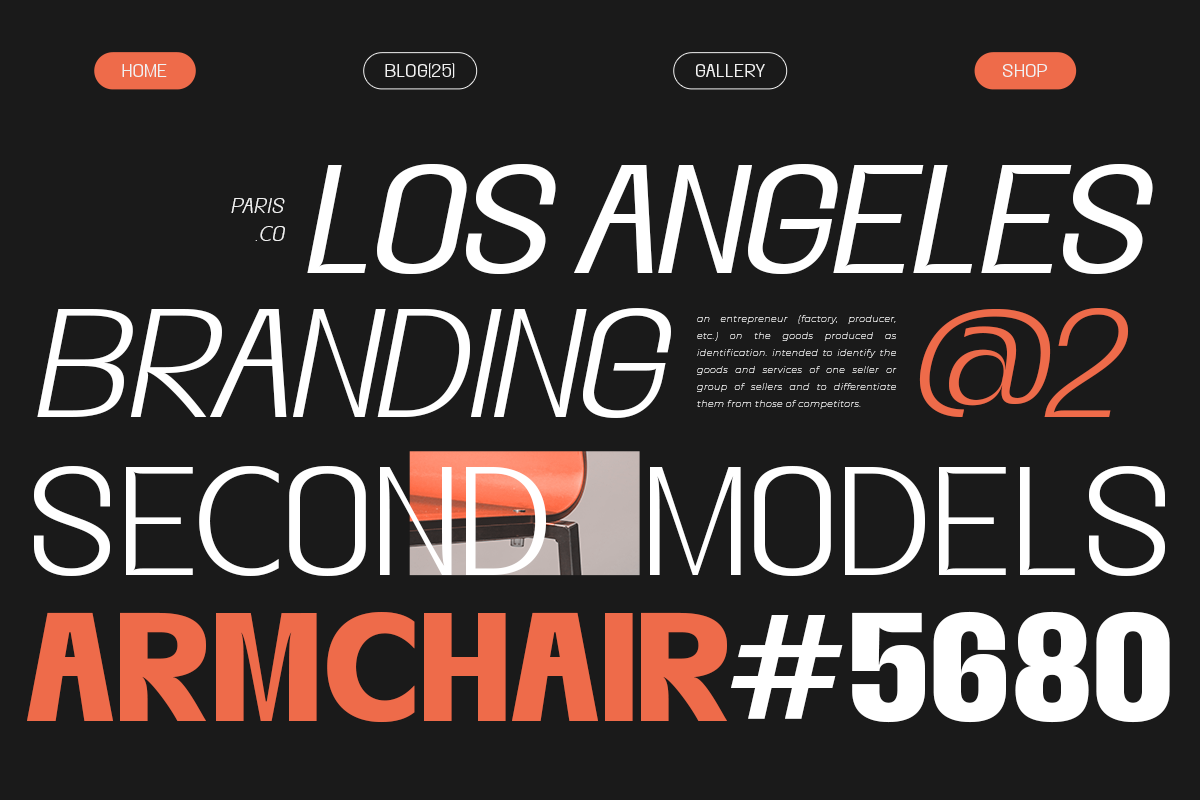 Gegant Font, a Sans Serif Font by Megatype (Photo 2 of 15)
