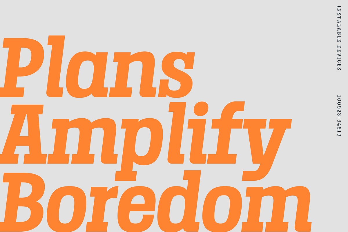 Birdwood; Condensed Slab Serif, a Slab Serif Font by Eko Bimantara (Photo 5 of 13)