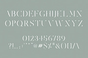 Joshua Tree | A Gorgeous Serif, a Serif Font by Jen Wagner Co (Thumbnail 2 of 8)