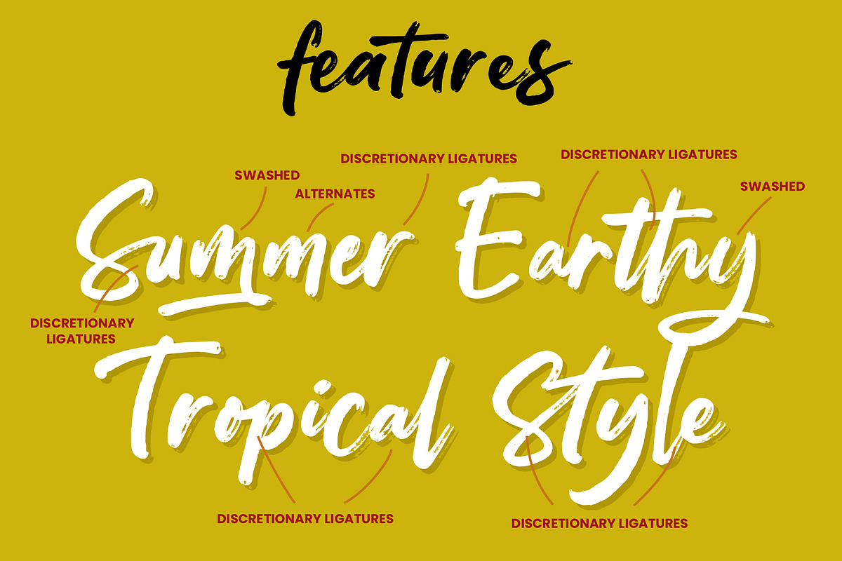 Canteen Doodle - Brush Display Font, a Script Font by Inviline.co (Photo 9 of 12)