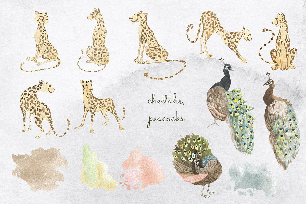 Exotic. watercolor set, an Illustration by Love Watercolor Store (Photo 8 of 11)