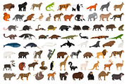Big Set of Animals, an Object Graphic by ianakauri (Thumbnail 3 of 12)
