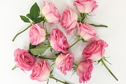 Roses and Hearts Stock Photo Bundle, a Photo by Hudson Lark Studio (Thumbnail 3 of 17)