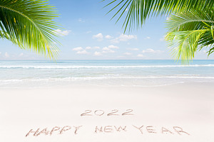 new year palms
