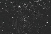 Filament, a Texture Graphic by Jennifer Lauren Creative (Thumbnail 4 of 16)