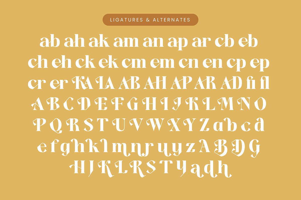 Kavare Bold Modern Serif Font, a Serif Font by timelesstype.co (Photo 19 of 20)