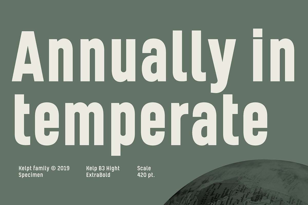 Kelpt Sans, a Sans Serif Font by Typesketchbook Foundry (Photo 4 of 7)