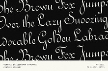 Elegant Vintage Calligraphy Font